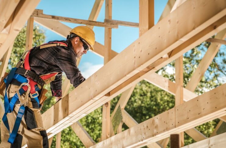 בניית בתי עץ ובקתות עץ יוקרתיות